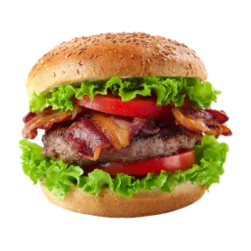 Shami Burger